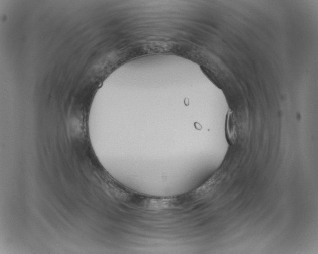 X0000067330134200604131710