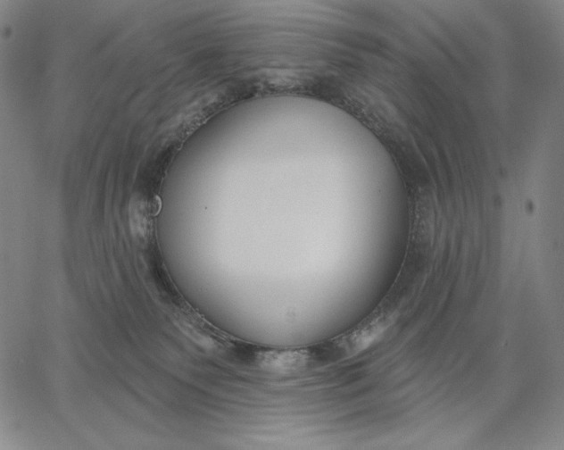 X0000067330135200604131710