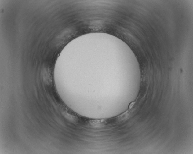 X0000067330136200604131710