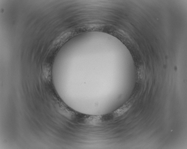 X0000067330138200604131710