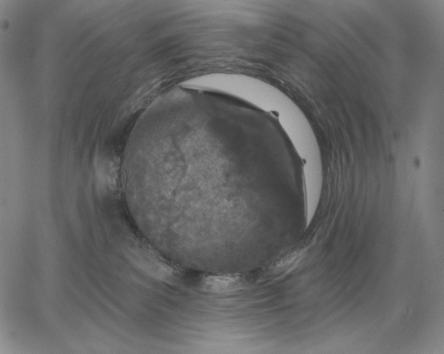 X0000067330139200604131710