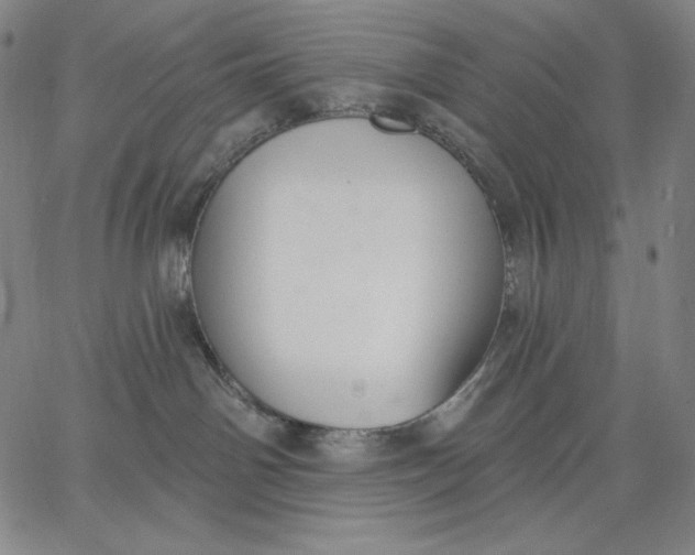 X0000067330142200604131710