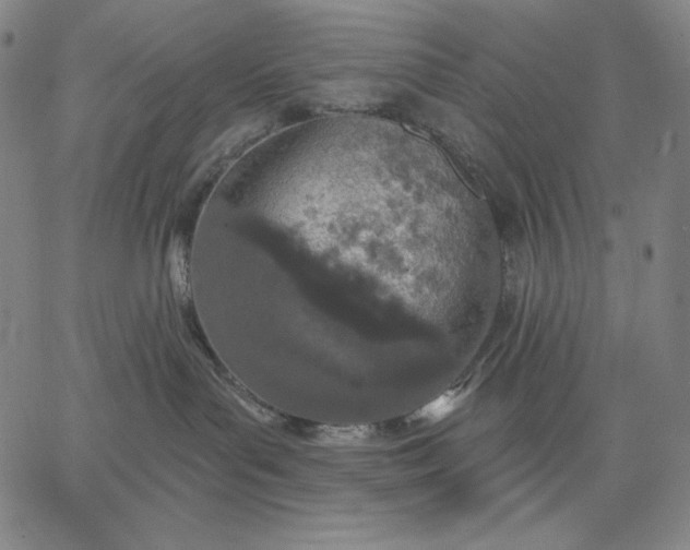 X0000067330143200604131710