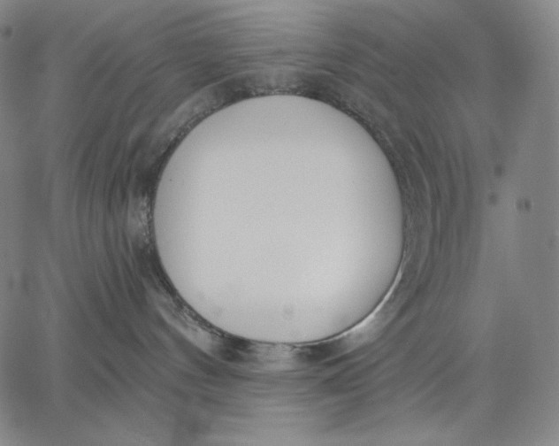 X0000067330144200604131710