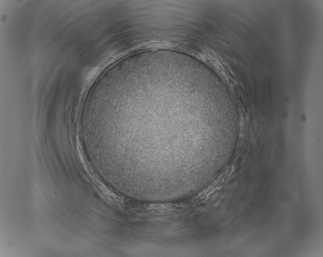 X0000067330145200604131709