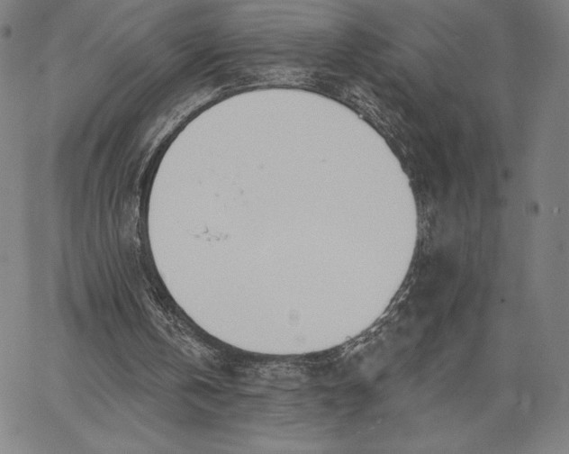 X0000067330146200604131709