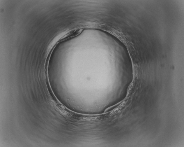 X0000067330147200604131709