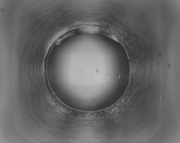 X0000067330148200604131709