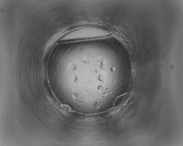 X0000067330149200604131709