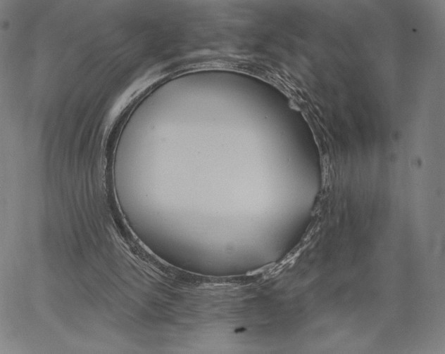 X0000067330150200604131709