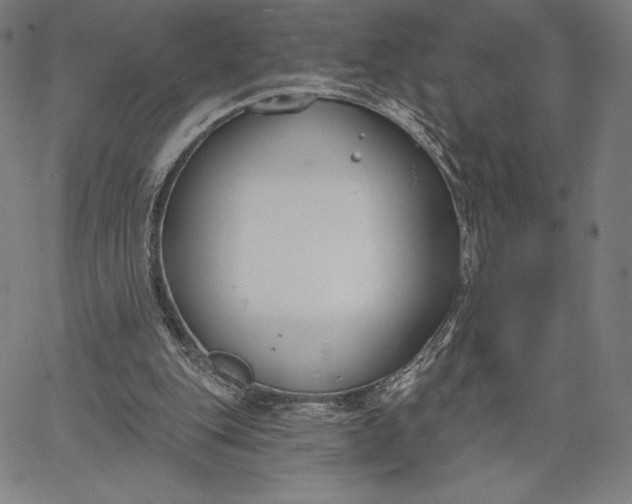 X0000067330151200604131709