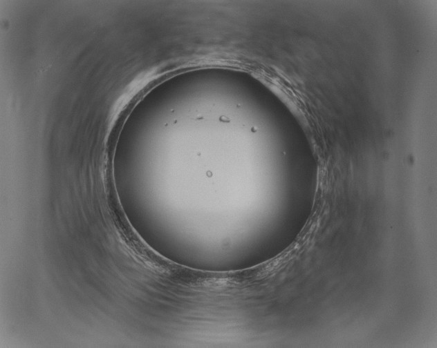 X0000067330152200604131709