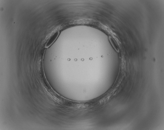 X0000067330153200604131709