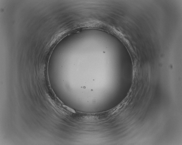 X0000067330154200604131709