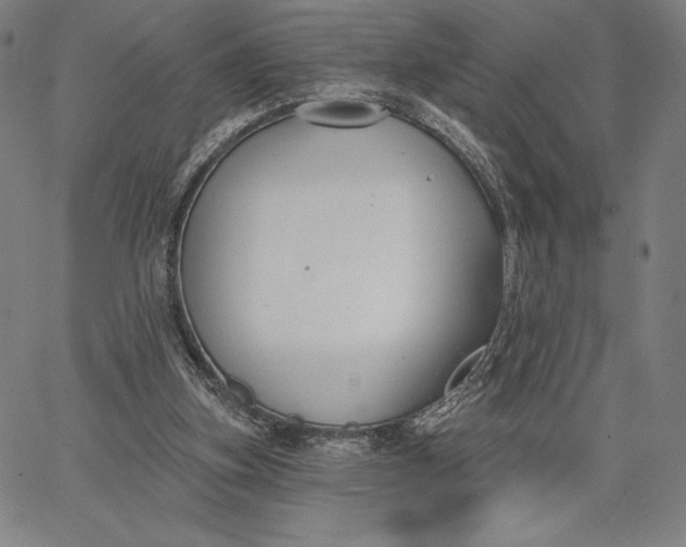 X0000067330155200604131709