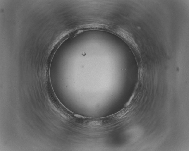 X0000067330156200604131709