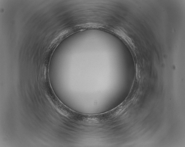 X0000067330157200604131709