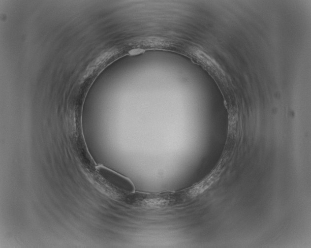 X0000067330158200604131709