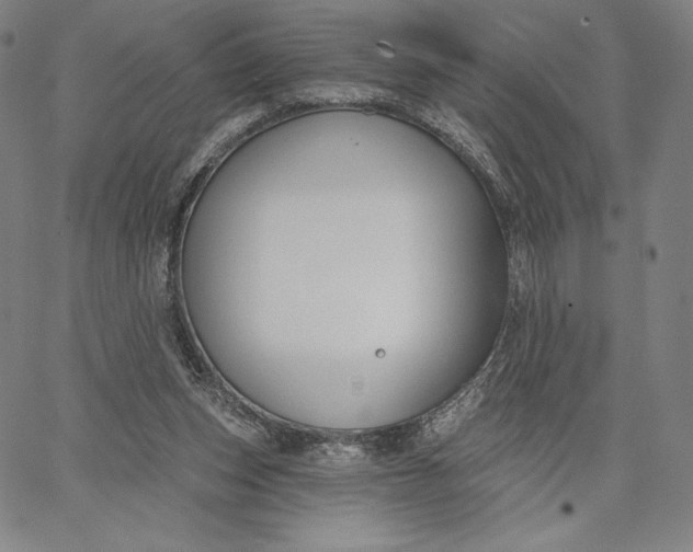 X0000067330159200604131709