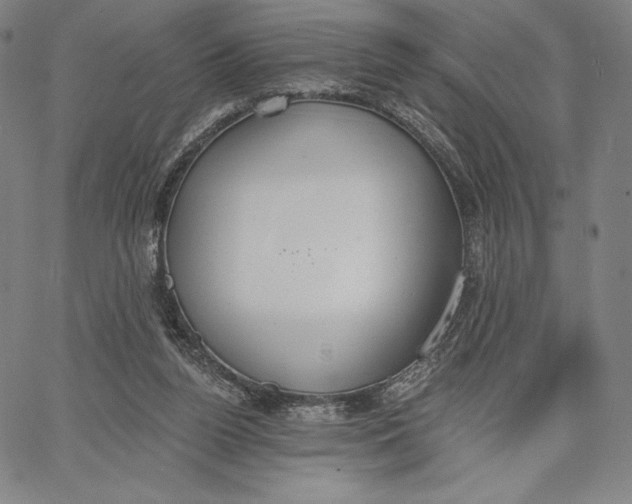 X0000067330160200604131709