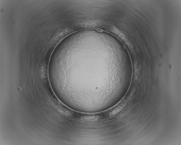 X0000067330161200604131709