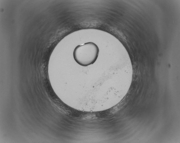 X0000067330162200604131709