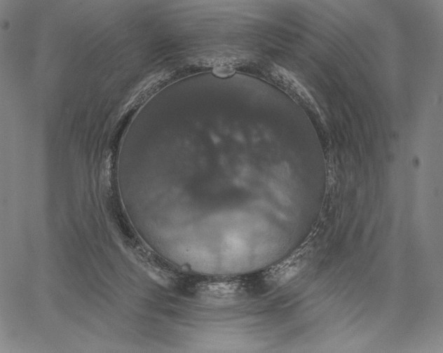 X0000067330163200604131709