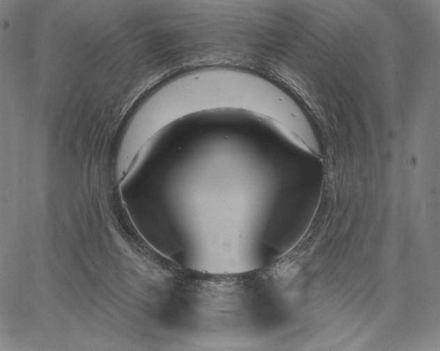 X0000067330164200604131709