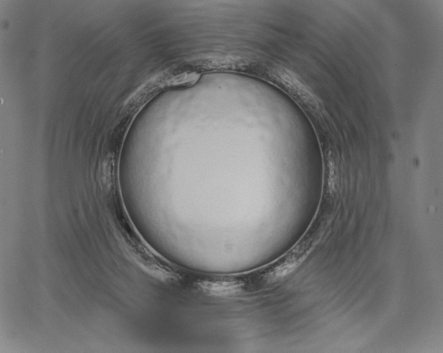 X0000067330165200604131709