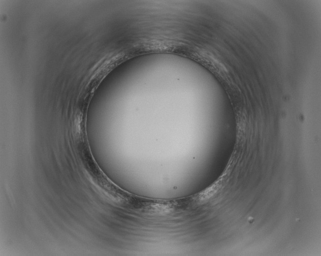 X0000067330166200604131709