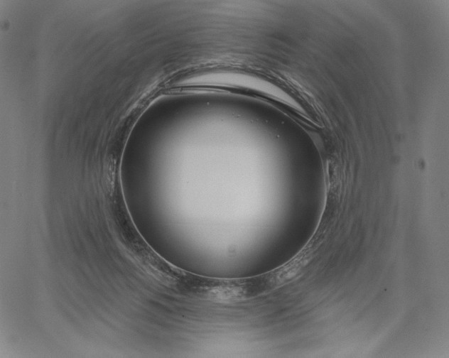 X0000067330168200604131709