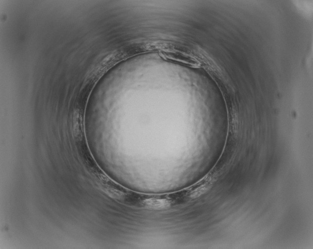 X0000067330169200604131709