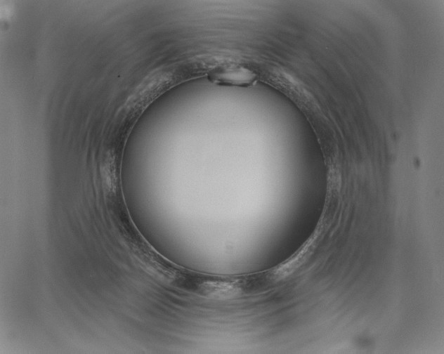 X0000067330170200604131709