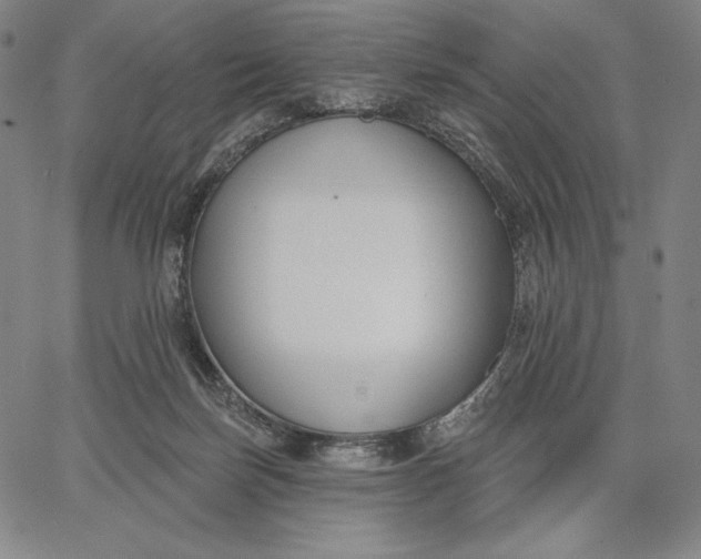 X0000067330171200604131709