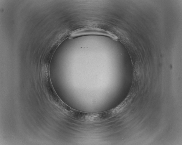 X0000067330172200604131709