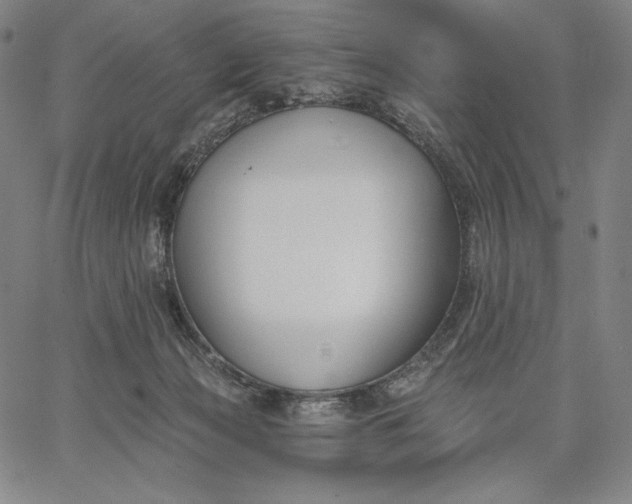 X0000067330173200604131709