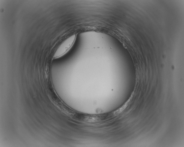 X0000067330174200604131709