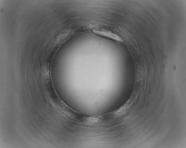 X0000067330176200604131710