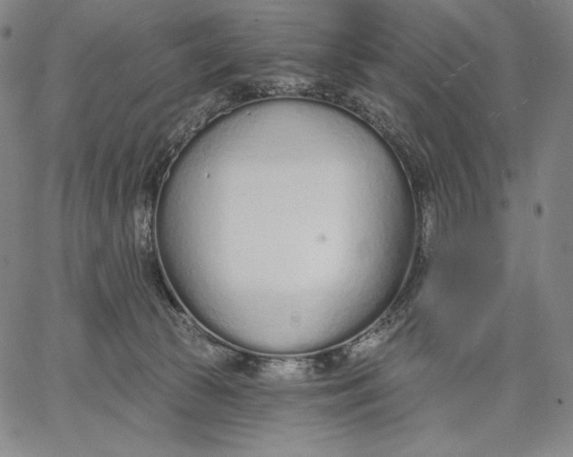 X0000067330177200604131710