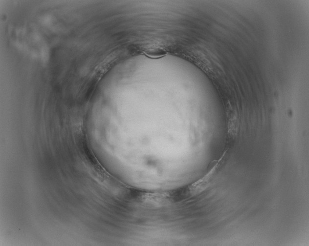 X0000067330179200604131710