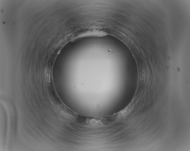 X0000067330180200604131710