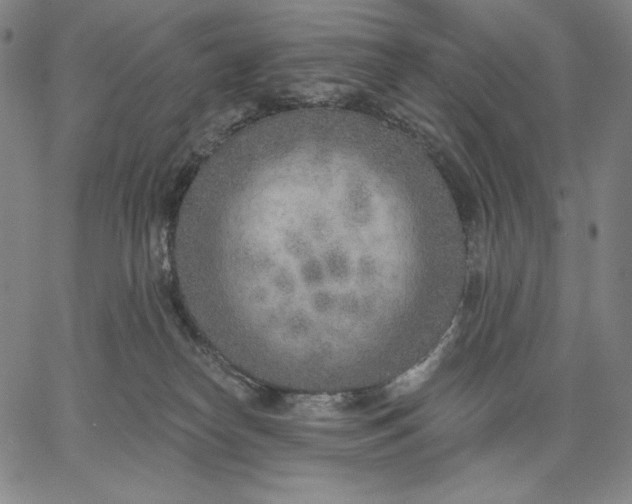 X0000067330182200604131710