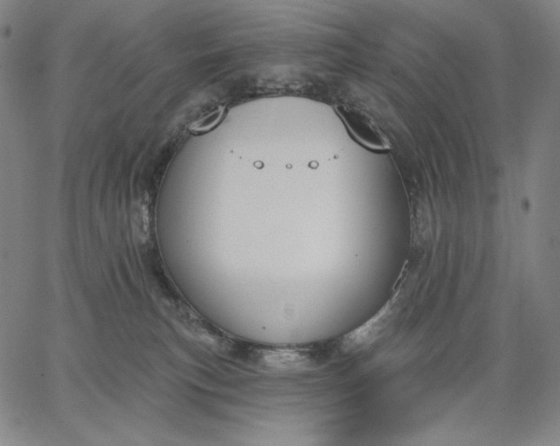X0000067330183200604131710