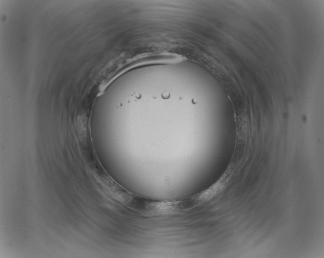 X0000067330184200604131710