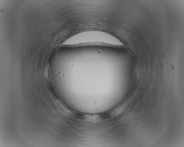 X0000067330185200604131710