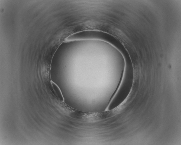 X0000067330186200604131710