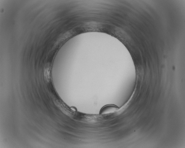 X0000067330190200604131710