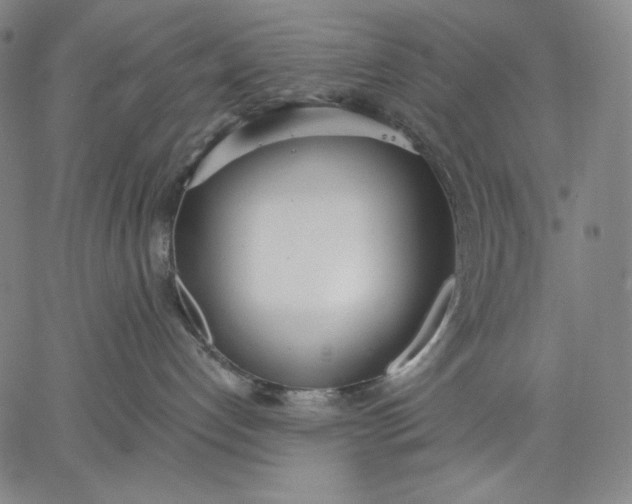 X0000067330192200604131710