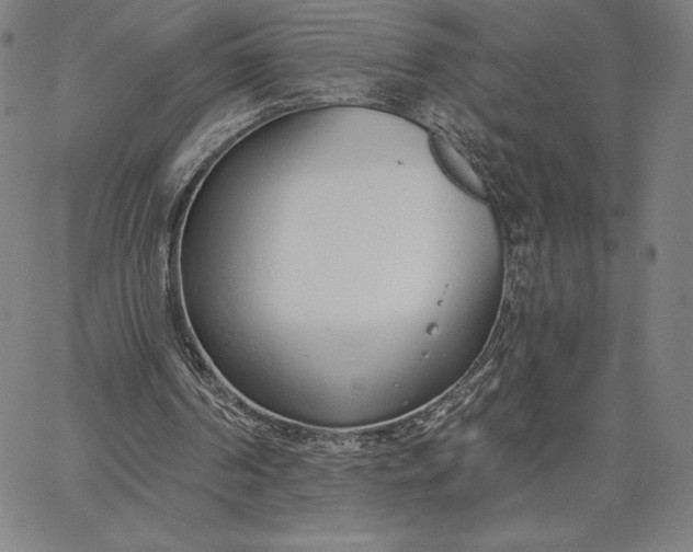 X0000067330194200604131709