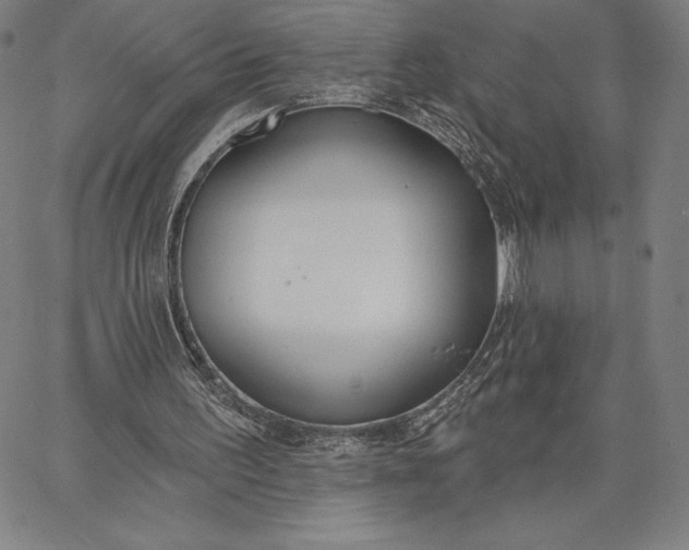 X0000067330195200604131709